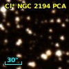 Cl* NGC 2194    PCA    1592