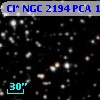 Cl* NGC 2194    PCA    1599