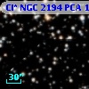 Cl* NGC 2194    PCA    1615