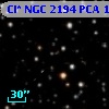 Cl* NGC 2194    PCA    1619