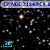 Cl* NGC 2194    PCA    1622