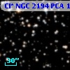 Cl* NGC 2194    PCA    1647