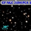 Cl* NGC 2194    PCA    1648