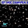 Cl* NGC 2194    PCA    1656