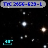 TYC 2856-629-1