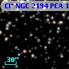 Cl* NGC 2194    PCA    1671