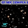 Cl* NGC 2194    PCA    1685