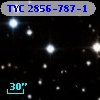 TYC 2856-787-1