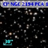 Cl* NGC 2194    PCA    1694