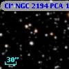 Cl* NGC 2194    PCA    1696