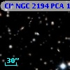 Cl* NGC 2194    PCA    1706