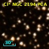 Cl* NGC 2194    PCA    1707