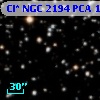 Cl* NGC 2194    PCA    1709