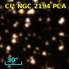 Cl* NGC 2194    PCA    1716