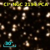 Cl* NGC 2194    PCA    1719