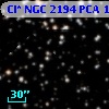 Cl* NGC 2194    PCA    1721