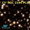 Cl* NGC 2194    PCA    1728