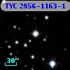 TYC 2856-1163-1