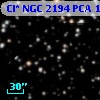 Cl* NGC 2194    PCA    1745