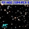 Cl* NGC 2194    PCA    1753