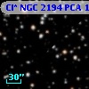Cl* NGC 2194    PCA    1772