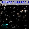 Cl* NGC 2194    PCA    1774