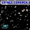 Cl* NGC 2194    PCA    1795