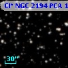 Cl* NGC 2194    PCA    1797