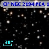 Cl* NGC 2194    PCA    1817