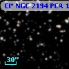 Cl* NGC 2194    PCA    1832