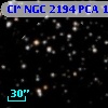 Cl* NGC 2194    PCA    1874