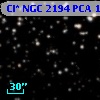 Cl* NGC 2194    PCA    1897