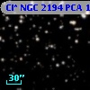 Cl* NGC 2194    PCA    1904
