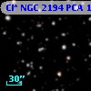 Cl* NGC 2194    PCA    1943