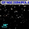 Cl* NGC 2194    PCA    1953