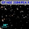 Cl* NGC 2194    PCA    1957