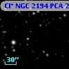 Cl* NGC 2194    PCA    2158