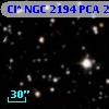 Cl* NGC 2194    PCA    2163