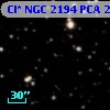 Cl* NGC 2194    PCA    2184