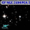 Cl* NGC 2194    PCA    2185