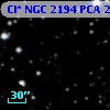 Cl* NGC 2194    PCA    2196