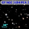 Cl* NGC 2194    PCA    2251
