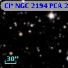 Cl* NGC 2194    PCA    2319