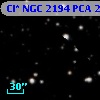 Cl* NGC 2194    PCA    2354