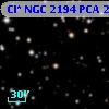 Cl* NGC 2194    PCA    2381
