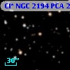 Cl* NGC 2194    PCA    2426