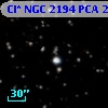Cl* NGC 2194    PCA    2428