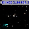 Cl* NGC 2194    PCA    2445