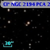 Cl* NGC 2194    PCA    2447