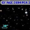 Cl* NGC 2194    PCA    2482